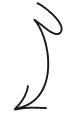 palynx-img